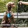 COOYOO 2 Pack Dog Leash 5 FT Heavy Duty Comfortable Padded Handle Reflective Dog Leash for Medium Large Dogs with Collapsible Pet Bowl