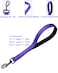 Cyclpet Advanced 12 Inches Nylon Short Dog Leash with Heavy Duty Clasp and Comfortable Soft Padded Handle for Large Medium Breed Dogs JoggingWalkingTraining etc 12 Inches Ultra Violet