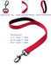 Cyclpet Advanced 18 Inch Short Dog Leash with Sturdy Nylon and Comfortable Padded Handle for Large Medium Breed Dogs Daily Use JoggingWalkingTraining etc 18 Inches Chili Pepper