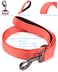 Cyclpet Advanced 4 Feet Dog Leash with Padded HandleSturdy Nylon Dogs Leads for Medium Large Dogs WalkingTrainingHikingJoggingCampingetc Living Coral Large 4 Feet Length 1 Inch Width