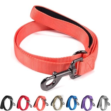 Cyclpet Advanced 4 Feet Dog Leash with Padded HandleSturdy Nylon Dogs Leads for Medium Large Dogs WalkingTrainingHikingJoggingCampingetc Living Coral Large 4 Feet Length 1 Inch Width