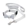 Fun Express Dog Ring Bearer Ring Holder Collar and Bow Tie Leash for Wedding 5 ft Leash with 25 Inch Collar That Shortens to 9 Inch
