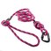 Embark Pets Embark Adventure Pro 6ft Dog Leash Heavy Duty Mountain Climbing Rope with Locking Carabiner NoPull Training Lead for Small Medium Large Dogs Strong Durable Nylon Pet Leash Pink