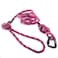 Embark Pets Embark Adventure Pro 6ft Dog Leash Heavy Duty Mountain Climbing Rope with Locking Carabiner NoPull Training Lead for Small Medium Large Dogs Strong Durable Nylon Pet Leash Pink