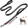Fida 6 FT Heavy Duty Dog Leash with 2 Comfortable Padded Handles Traffic Handle Advanced Easy Snap Hook Reflective Walking Lead for Large Medium Small Breed Dogs Black