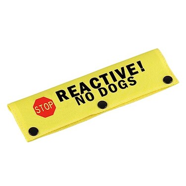 BLUPARK Funny Dog Leash Sleeve Reactive No Dogs Dog Leash Wrap Sleeve Pet Birthday Gift Reactive No DogsYE Sleeve