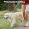 Grand Line Slip Lead Dog Leash No Pull Training Dog Lead with 5ft Reflective Rope Durable CollarFree for Small Medium Large Dogs and Puppies PinkM