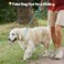 Grand Line Slip Lead Dog Leash No Pull Training Dog Lead with 5ft Reflective Rope Durable CollarFree for Small Medium Large Dogs and Puppies PinkS