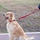 Hyhug Pets 24 Inches Durable Short Leash with Neoprene Soft Handle and Lightweight Aviation Aluminium Clip Lead for Daily Use Walking and Professional Training 24 Inches Red