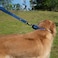 Hyhug Pets Premium Upgraded Durable Nylon 18 Inch Short Leash with Soft Padded Neoprene Lined Handle for Medium Large Giant Dogs Daily Use and Professional Training 18 Inches Classic Blue