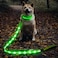 Illumifun LED Dog Leash USB Rechargeable Glowing Light Up Dog Leash Nylon Flashing Safety Pet Light for Night Walking Green