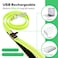 Illumifun LED Dog Leash USB Rechargeable Glowing Light Up Dog Leash Nylon Flashing Safety Pet Light for Night Walking Green