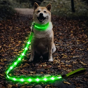 Illumifun LED Dog Leash USB Rechargeable Glowing Light Up Dog Leash Nylon Flashing Safety Pet Light for Night Walking Green