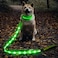 Illumifun LED Dog Leash USB Rechargeable Glowing Light Up Dog Leash Nylon Flashing Safety Pet Light for Night Walking Green