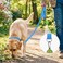 Joytale Dog Leash 5 FT DoubleSided Reflective Padded Handle Nylon Heavy Duty Leashes for Medium Large Dogs Walking Sky Blue