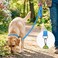 Joytale Dog Leash 5 FT DoubleSided Reflective Padded Handle Nylon Heavy Duty Leashes for Medium Large Dogs Walking Sky Blue