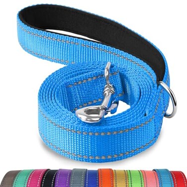 Joytale Dog Leash 5 FT DoubleSided Reflective Padded Handle Nylon Heavy Duty Leashes for Medium Large Dogs Walking Sky Blue