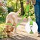 Joytale Dog Leash 6 FT DoubleSided Reflective Padded Handle Nylon Heavy Duty Leashes for Medium Large Dogs Walking Green
