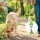 Joytale Dog Leash 6 FT DoubleSided Reflective Padded Handle Nylon Heavy Duty Leashes for Medium Large Dogs Walking Green