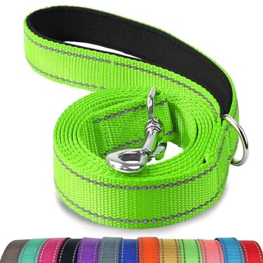 Joytale Dog Leash 6 FT DoubleSided Reflective Padded Handle Nylon Heavy Duty Leashes for Medium Large Dogs Walking Green