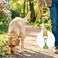 Joytale Dog Leash 6 FT DoubleSided Reflective Padded Handle Nylon Heavy Duty Leashes for Medium Large Dogs Walking Khaki