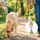Joytale Dog Leash 6 FT DoubleSided Reflective Padded Handle Nylon Heavy Duty Leashes for Medium Large Dogs Walking Khaki