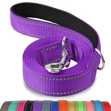 Joytale Dog Leash 6 FT DoubleSided Reflective Padded Handle Nylon Heavy Duty Leashes for Medium Large Dogs Walking Purple