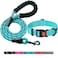 ladoogo Ladoogo Heavy Duty Dog Leash Comfortable Padded Handle 5 ft Long Dog Leashes for Small Medium Large Dogs LeashCollar XS Neck 105135 Blue