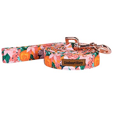 Lionheart glory Flower Print Strong Dog Leash Durable Dog leashes with Soft Handle for Walking Training Small Girl Dogs