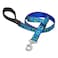LupinePet Originals 1 Sea Glass 6Foot Padded Handle Leash for Medium and Larger Dogs