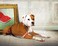 Max & Max Molly Stylish Comfort Padded Dog Leash DoubleStitched Soft Neoprene Secure Brushed Metal Hardware Upper DRing for Accessories Easy Grip Snap Hook Machine Washable Watermelons