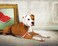 Max & Max Molly Stylish Comfort Padded Dog Leash DoubleStitched Soft Neoprene Secure Brushed Metal Hardware Upper DRing for Accessories Easy Grip Snap Hook Machine Washable Watermelons