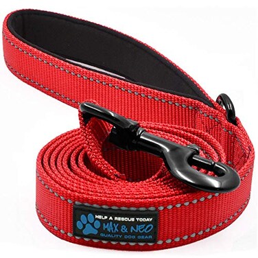 Max and Neo Small Dog Leash Reflective Nylon Donates to Dog Rescue RED 6x58