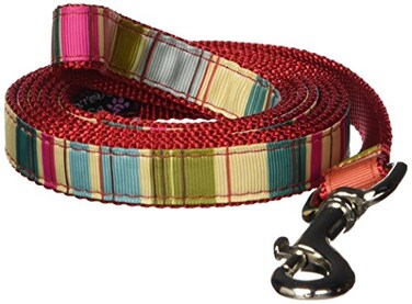 Sassy Dog Medium RedMulti Stripe Dog Leash 34 Wide 6ft Length Made in USA