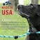 Mendota Pet Snap Leash BritishStyle Braided Dog Lead Made in The USA Tan 12 in x 4 ft for Large Breeds