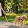 Mile High Life Dog Leash Braided Cotton Rope Leashes with Leather Tip Heavy Duty Metal Clasp 6FT 12 Thick Wedding Walking Training Leash for Small Medium Large Dogs Light Brown