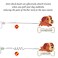 NOYAL 2 Pack 17 FT Bungee Dog Leash Heavy Duty Shock Absorbing Extension Leash Improved Dog Safety Suitable for Walking Running Bicycling