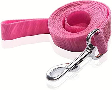 SALO Nylon Dog Leash 10 Feet Long Walking Training Dog Leashes for Medium Large Dogs 1 Inch Wide Pink