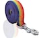 SALO Nylon Dog Leash 16 Feet Long Walking Training Dog Leashes for Medium Large Dogs1 X 16 ftRainbow