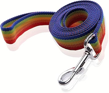 SALO Nylon Dog Leash 16 Feet Long Walking Training Dog Leashes for Medium Large Dogs1 X 16 ftRainbow
