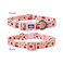 Olahibi Dog Collar Leash Set Fruit Pattern Polyester Material Adjustable Collar and 5ft Matching Leash for Large DogsL Pink Cherry