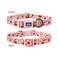 Olahibi Dog Collar Leash Set Fruit Pattern Polyester Material Adjustable Collar and 5ft Matching Leash for Large DogsL Pink Cherry