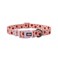 Olahibi Dog Collar Leash Set Fruit Pattern Polyester Material Adjustable Collar and 5ft Matching Leash for Medium DogsM Strawberry