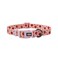 Olahibi Dog Collar Leash Set Fruit Pattern Polyester Material Adjustable Collar and 5ft Matching Leash for Medium DogsM Strawberry