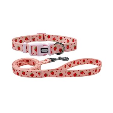 Olahibi Dog Collar Leash Set Fruit Pattern Polyester Material Adjustable Collar and 5ft Matching Leash for Medium DogsM Strawberry