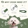 PawHuggies Olive Green Dog Leash for Small Dogs 4 FT of 90 Rayon from Bamboo and 10 Polyester Strong Durable Heavy Duty Leash Dog Soft Handle with ORing for Training or Walking