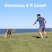 Pawtitas Black Dog Leash 6 ft ML Reflective Durable Lightweight Dog Lead for Medium or Large Dogs and Puppies