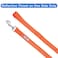 Pawtitas Orange Dog Leash 6 ft XSS Reflective Durable Lightweight Dog Lead for Small Dogs and Puppies
