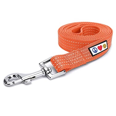 Pawtitas Orange Dog Leash 6 ft XSS Reflective Durable Lightweight Dog Lead for Small Dogs and Puppies