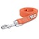 Pawtitas Orange Dog Leash 6 ft XSS Reflective Durable Lightweight Dog Lead for Small Dogs and Puppies